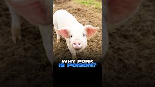 Pork Is The Worst Meat You Can Eat: Change My Mind🚫