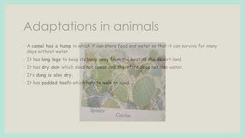 Chapter 9 The living Organisms and their Surroundings part 1