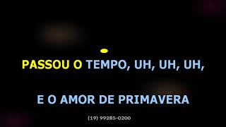 Di Paullo E Paulino  Algemas Invisveis  Karaok