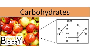 Carbohydrates (regular biology)