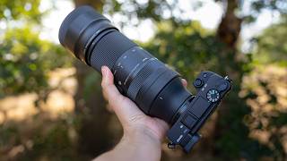 The Best Beginner Wildlife Photography Setup On A Budget | Sony A6400   Sigma 100-400