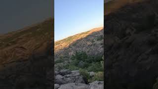 2023-2024 Domuz Avi İ Sezon Domuz Avi Ürüdomuz