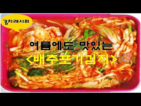 [김치레시피] 배추포기김치 맛있게 담그기~ 충청도 할매의 배추절이기, 배추김치 양념 방법~시원하게 젓갈냄새 없이 담그는 방법~