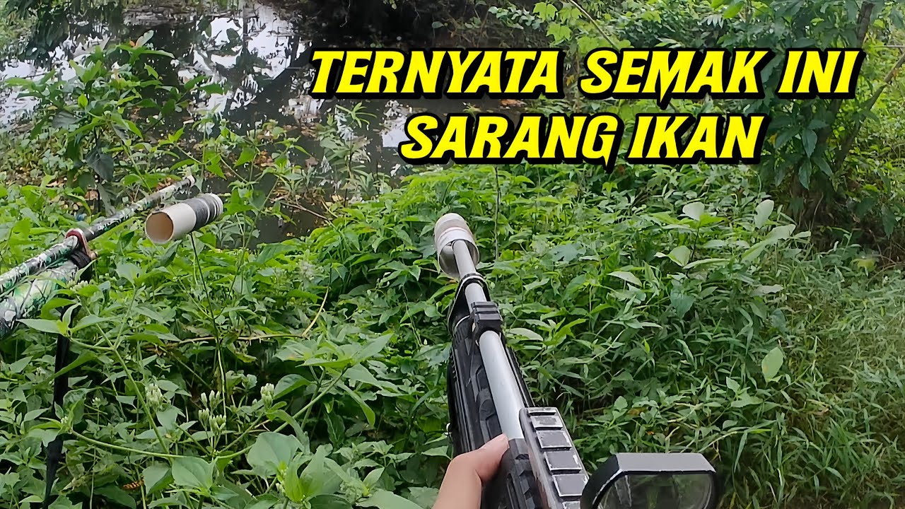 PASER IKAN ] BARU DATANG KE SPOT LANGSUNG DISAMBUT GEROMBOLAN IKAN !!!