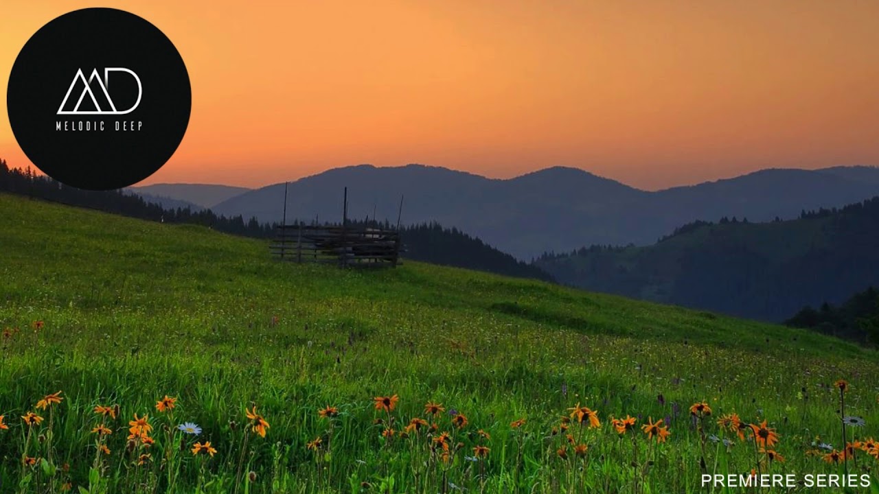 PREMIERE: Mutekka - Come Home (Analog Sol Remix) [Lowbit]