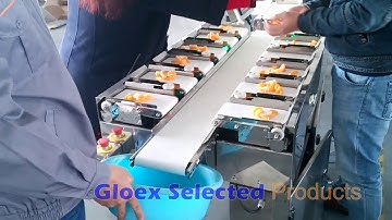 Belt Combination Weigher