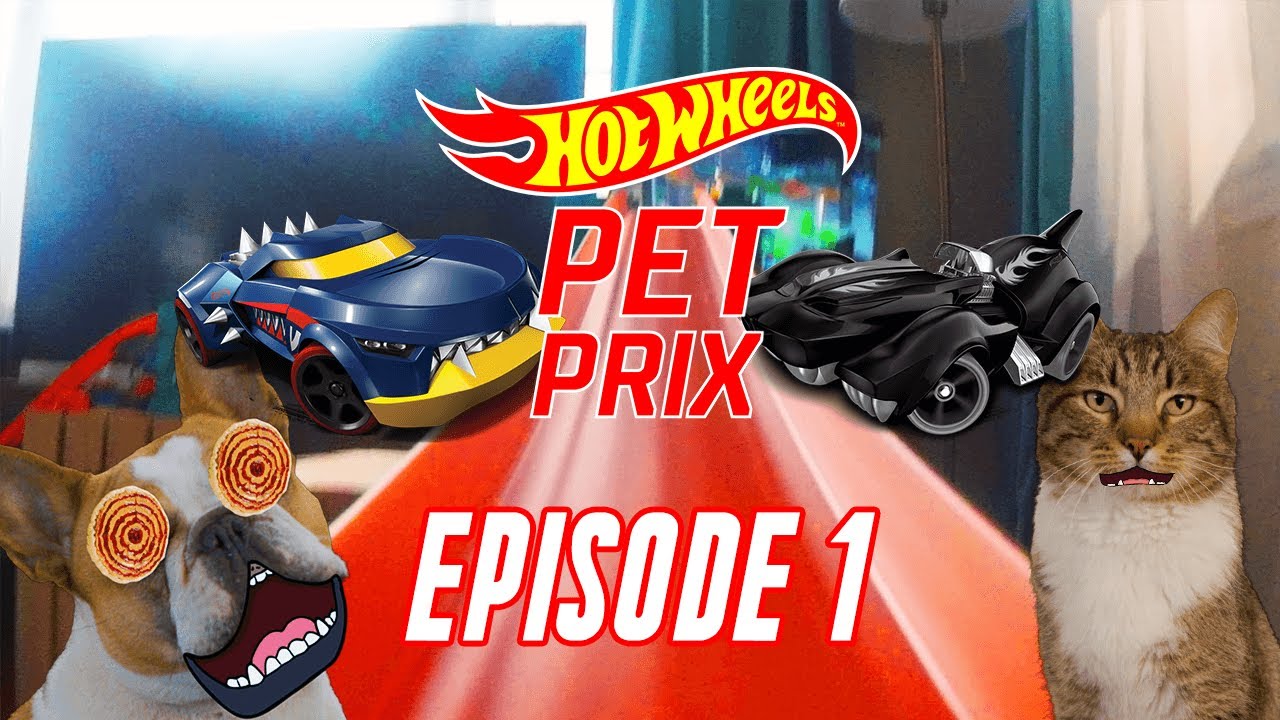ВЫСОКОСКОРОСТНОЙ ПРЫЖОК HOT WHEELS c Growler и Perrfect Speed | Pet Prix | Эпизод 1
