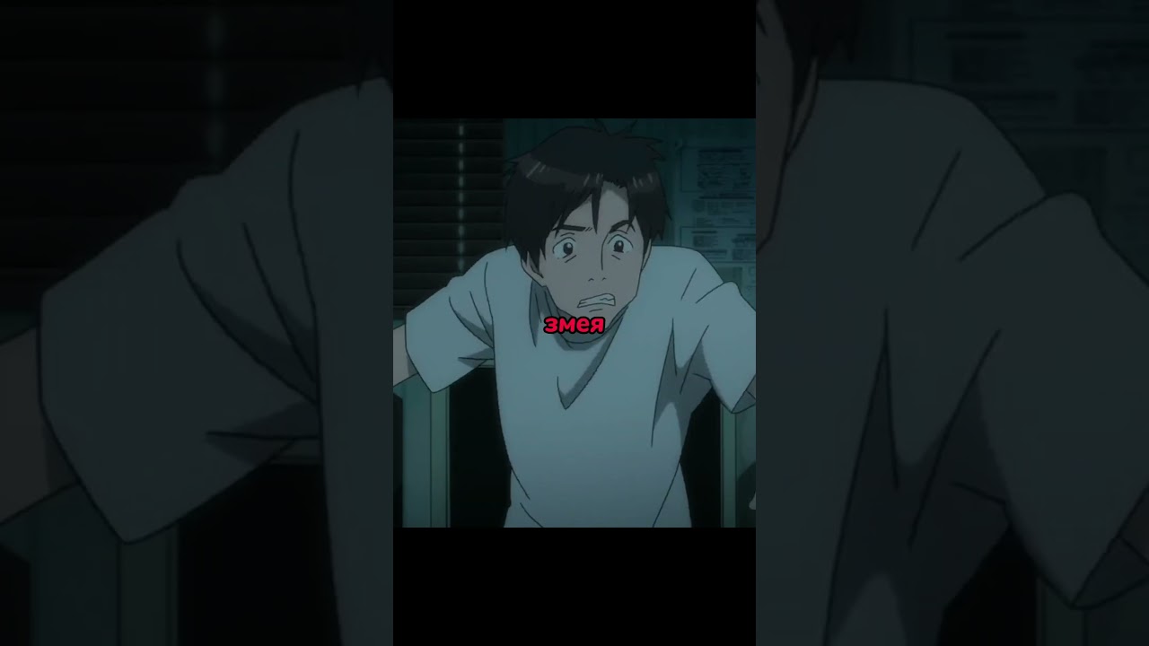 Это вышло случайно😅|ПаразитKiseijuu: Sei no Kakuritsu 