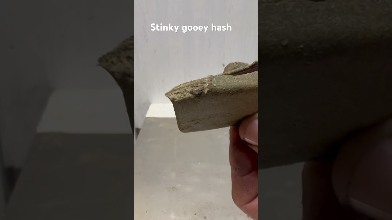 Master kush extract…so strong