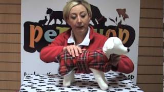 Highland Red Tartan Dog Coat by Jamielee McGirl 556 views 11 years ago 36 seconds