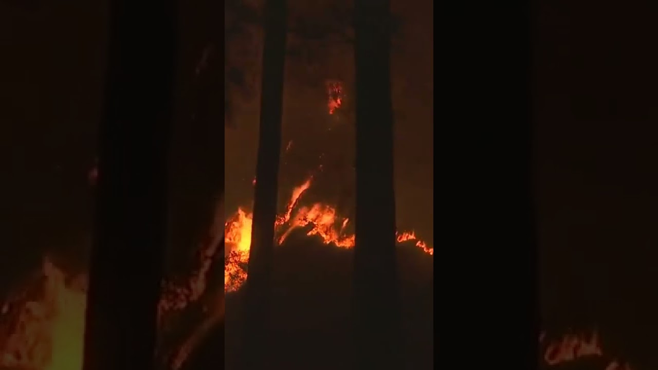 BREAKING : Fire breaks out in Udhampur forest. 