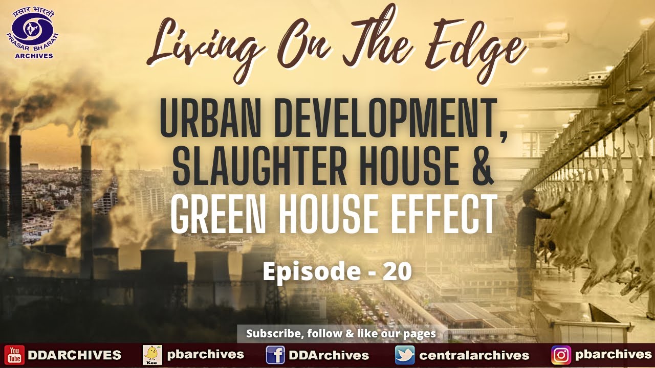 Urban Development, Slaughter House & Green House Effect | Living on the Edge | Ep. 20