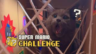 Cat Stuck Inside Super Mario Question Block | Super Mario Cat Bros