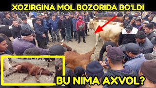 Yozyovon mol bozori Bugun Ajoyib bo'ldi \/ Mazza qilib tomasha qiling 03.04.2024