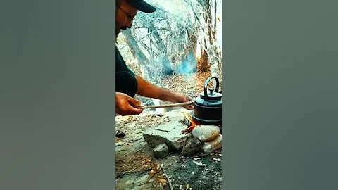 Natural Tea In The Forest Camping;asmr #shorts