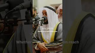Sheikh Mishary Rashid Al Afasy Extremely Emotional ??? Recitation shorts islamicshortvideo