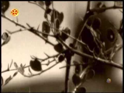 იოანე კიბისაღმწერელი