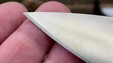 Spyderco Manix 2 cpm s110v Chipped!!!