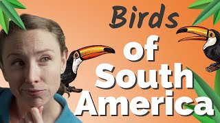 Shake It Like the Birds in South America | Culture History-News