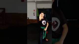 Shaolin Chuan Tao Kung Fu artesmarciales kungfu shaolin shaolinkungfu  patadas forma salto