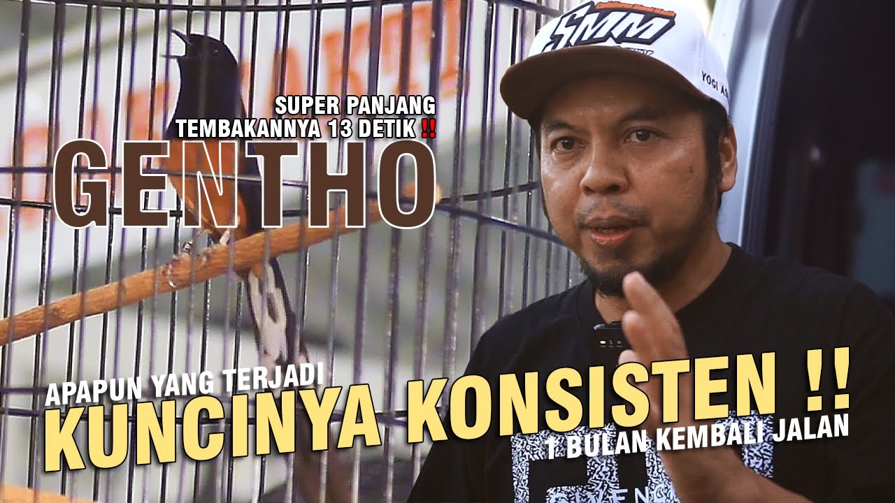 [ Murai Batu GENTHO ] Tembakannya Super Panjang !! Sempat Trouble Kini ...