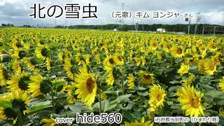 北の雪虫　キムヨンジャ　hide560　198　当別町カラオケ