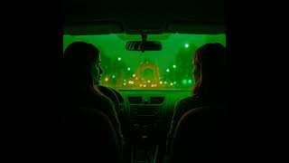 Punto e a Capo  I Corti  autore Giovanna Rodda