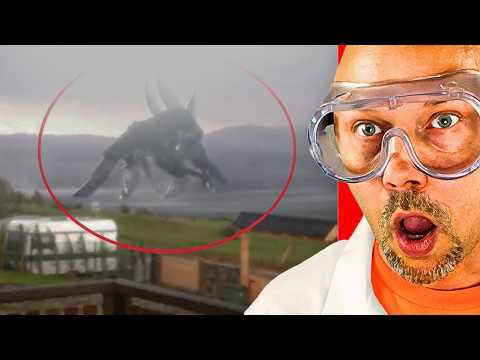 The MOST Terrifying Creatures Spotted at Night