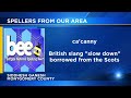 Schuylkill County student will compete in Local Scripps National Spelling Bee Quarterfinals