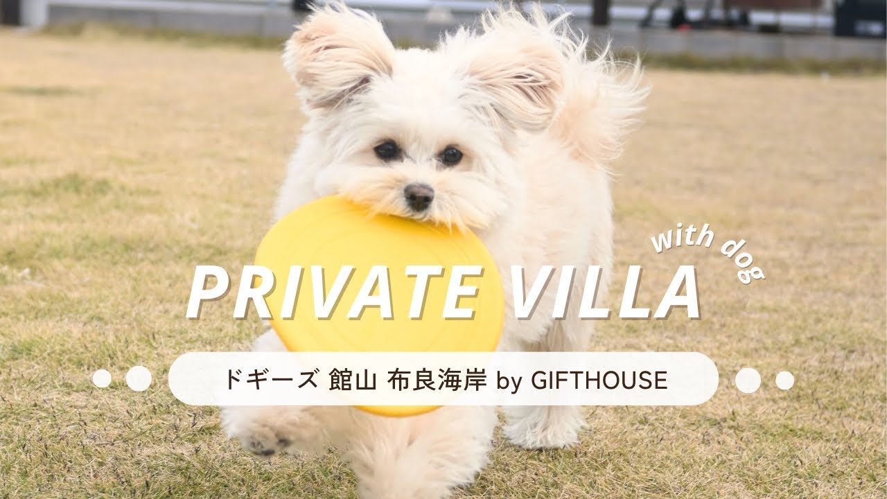 【千葉旅行】絶景が楽しめるプライベートヴィラで過ごす愛犬との休日