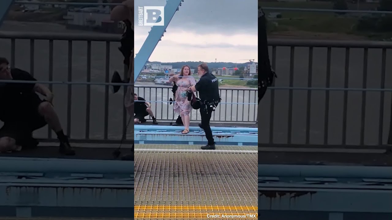  We Don T F Around Anti ICE Protest Turns Into Bridge Brawl