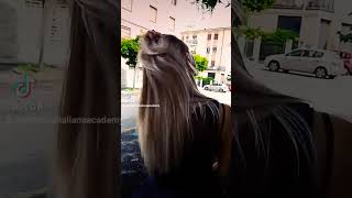 I suoi capelli biondi scendono morbidi sulle spalle, come fili di luce intrecciati dal sole.#capelli