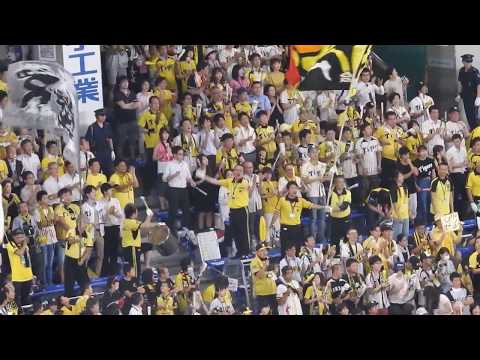 熱狂的な阪神タイガースの応援が凄い  巨人・阪神戦　東京ドーム 2017/8/9