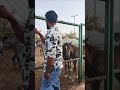 Deer farm ksa