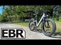 Rad Power Bikes RadRover 6 Plus Step-Thru Review - $2k