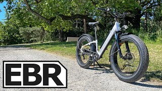 Rad Power Bikes RadRover 6 Plus Step-Thru Review - $2k