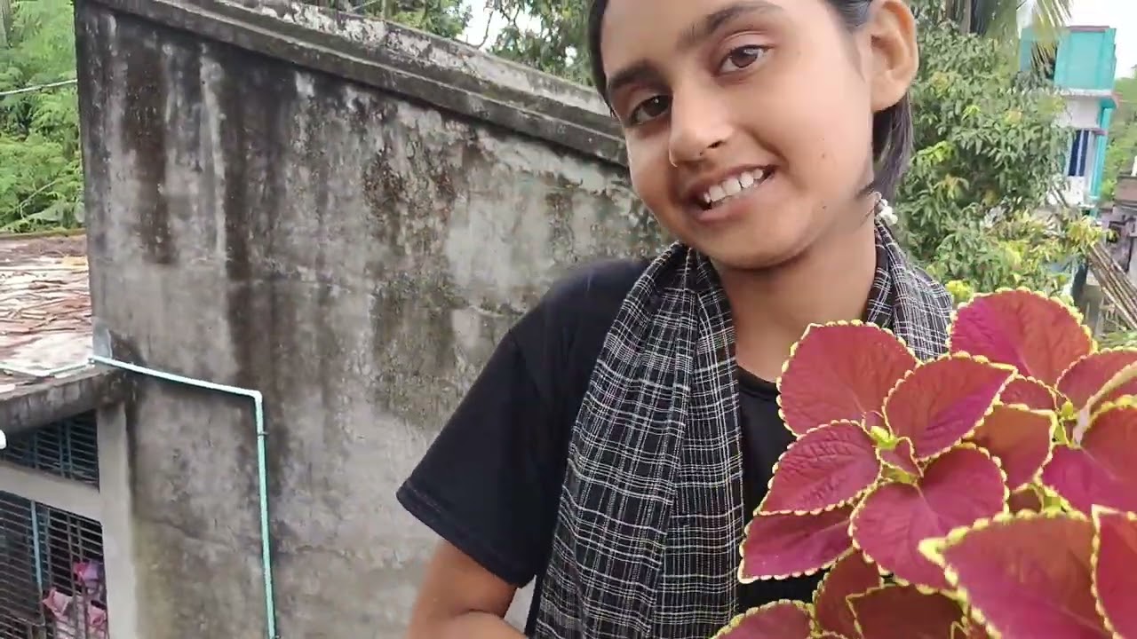 আজ চলে আসলাম ছোট বোনের ছাদ বাগানে #longvideo #gardening #subscribers 
