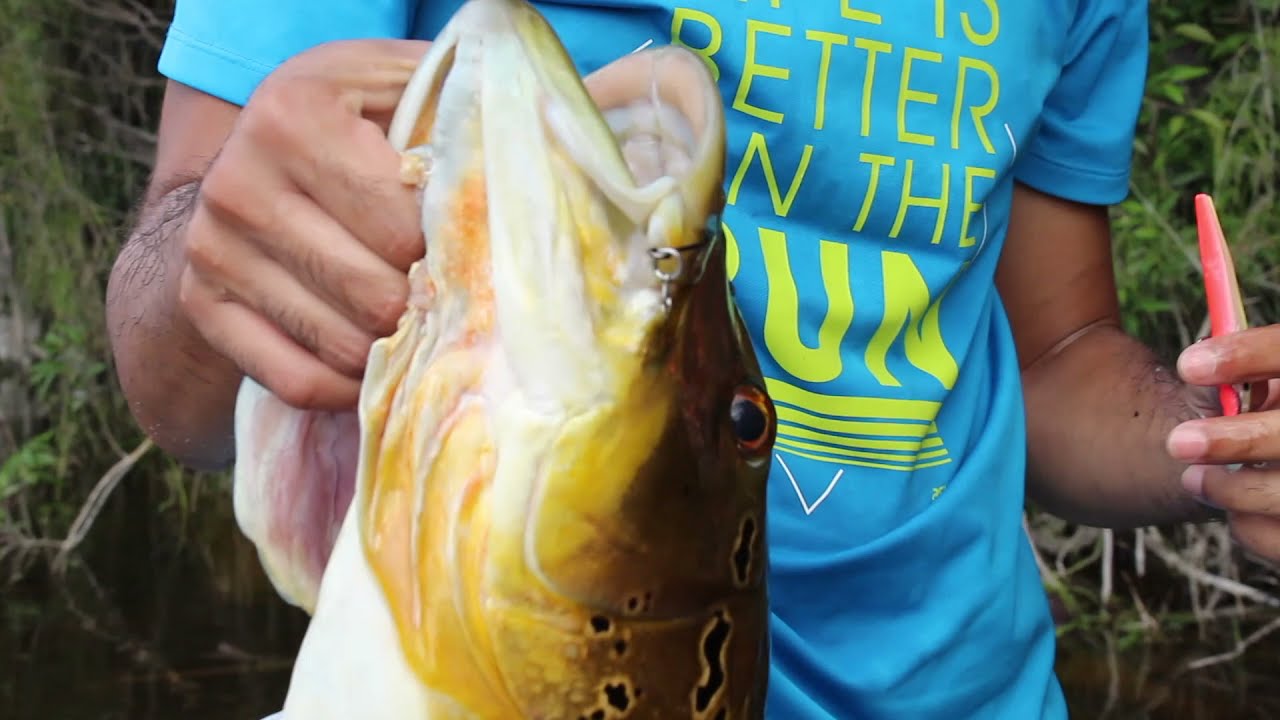A primeira vez que experimentei anzóis no lugar de garatéias na Amazônia.