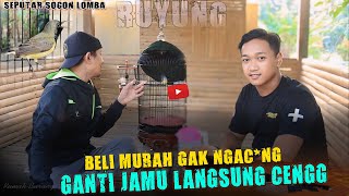 CURHAT BELI SOGON KONDISI LESU SEKARANG STABIL JUARA - Ganti Jamu Langsung Ngac*ng