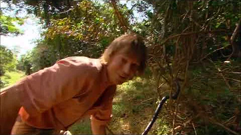 Austin Stevens' Adventures - Forest Cobra | A Week with Austin Stevens