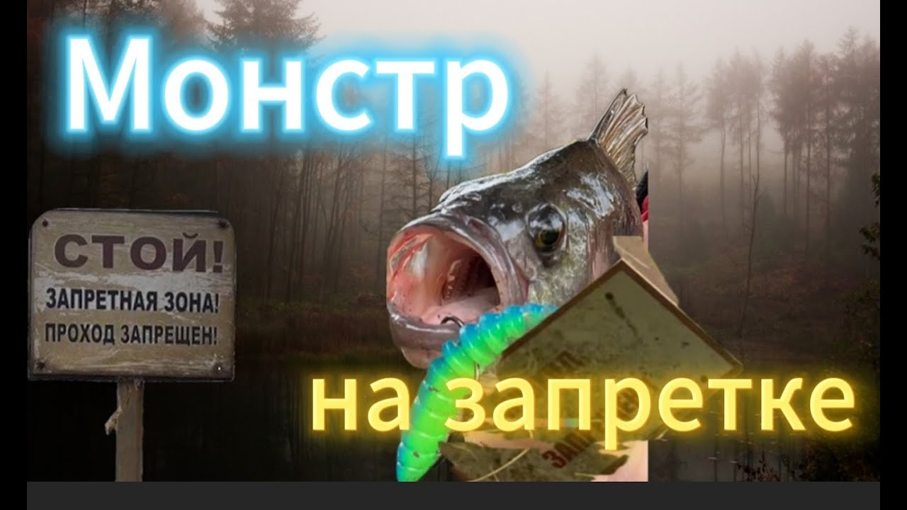 Рыбалка на щуку и окуня осенью 2025