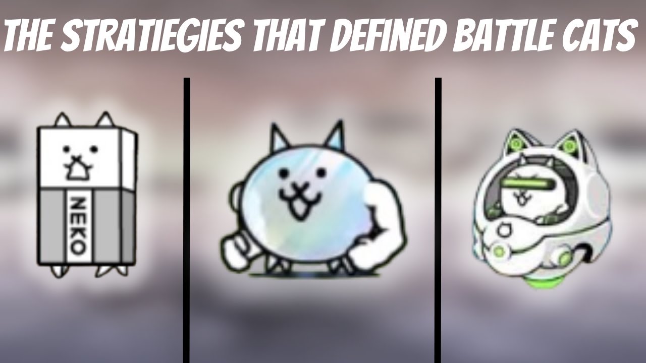 Стратегии, определившие «Боевых котов»