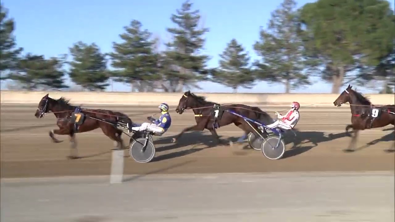 Ippodromo dei Sauri - 7' corsa del 26 febbraio 2026