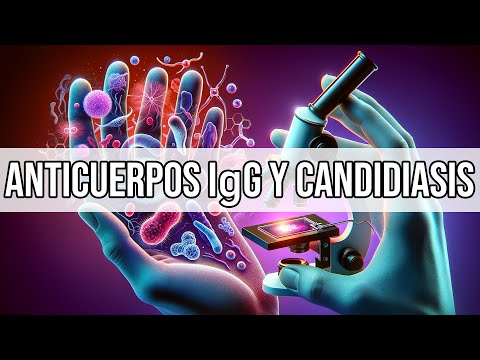🔁Conexión Entre Anticuerpos