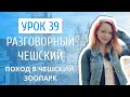 Урок 39. Разговорный чешский I Поход в зоопарк: животные на чешском языке