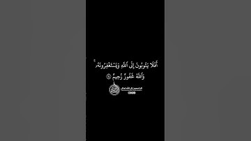 ماهر المعيقلي - سورة المائدة ( برواية حفص عن عاصم ) الأية 74