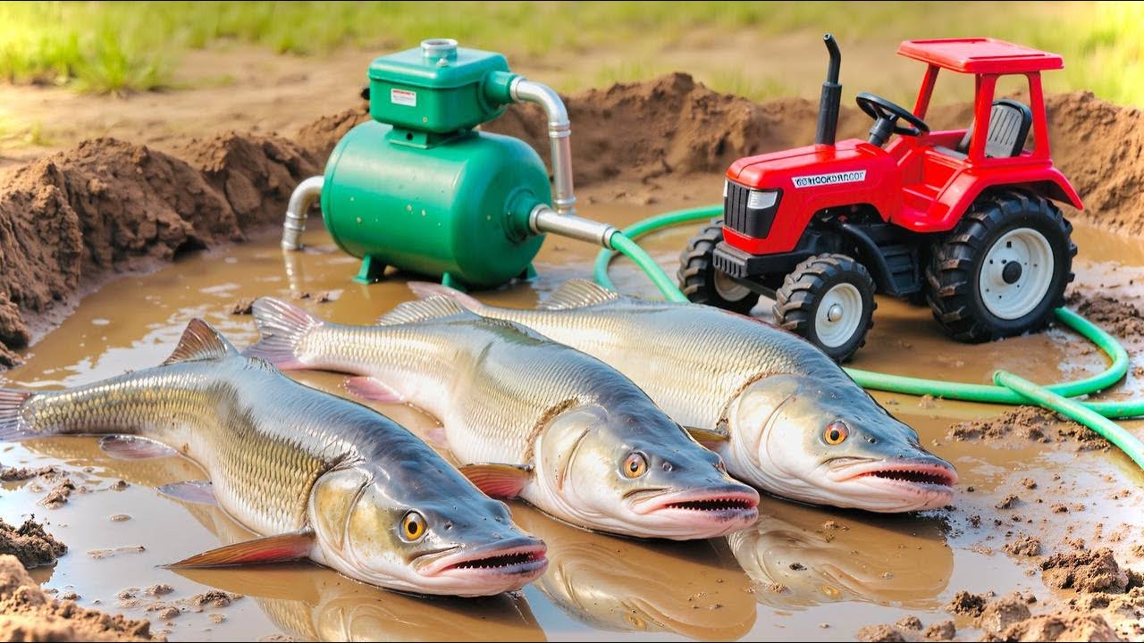 Catch fish using mini diesel engine water pump for fish | fishing exciting | diy tractor
