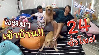 ให้หมาเข้าบ้าน 24 ชั่วโมง บ้านจะพังมั๊ย!! | แม่ปูเป้ เฌอแตม Tam Story