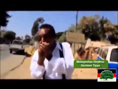 Mulugeetaa Hirphoo Harmee Tiyya Oromo Oromia