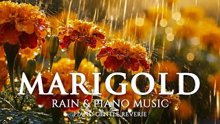 Marigold in the Rain – Golden Piano Music for Morning Calm & Emotional Warmth – Piano Gentle Reverie